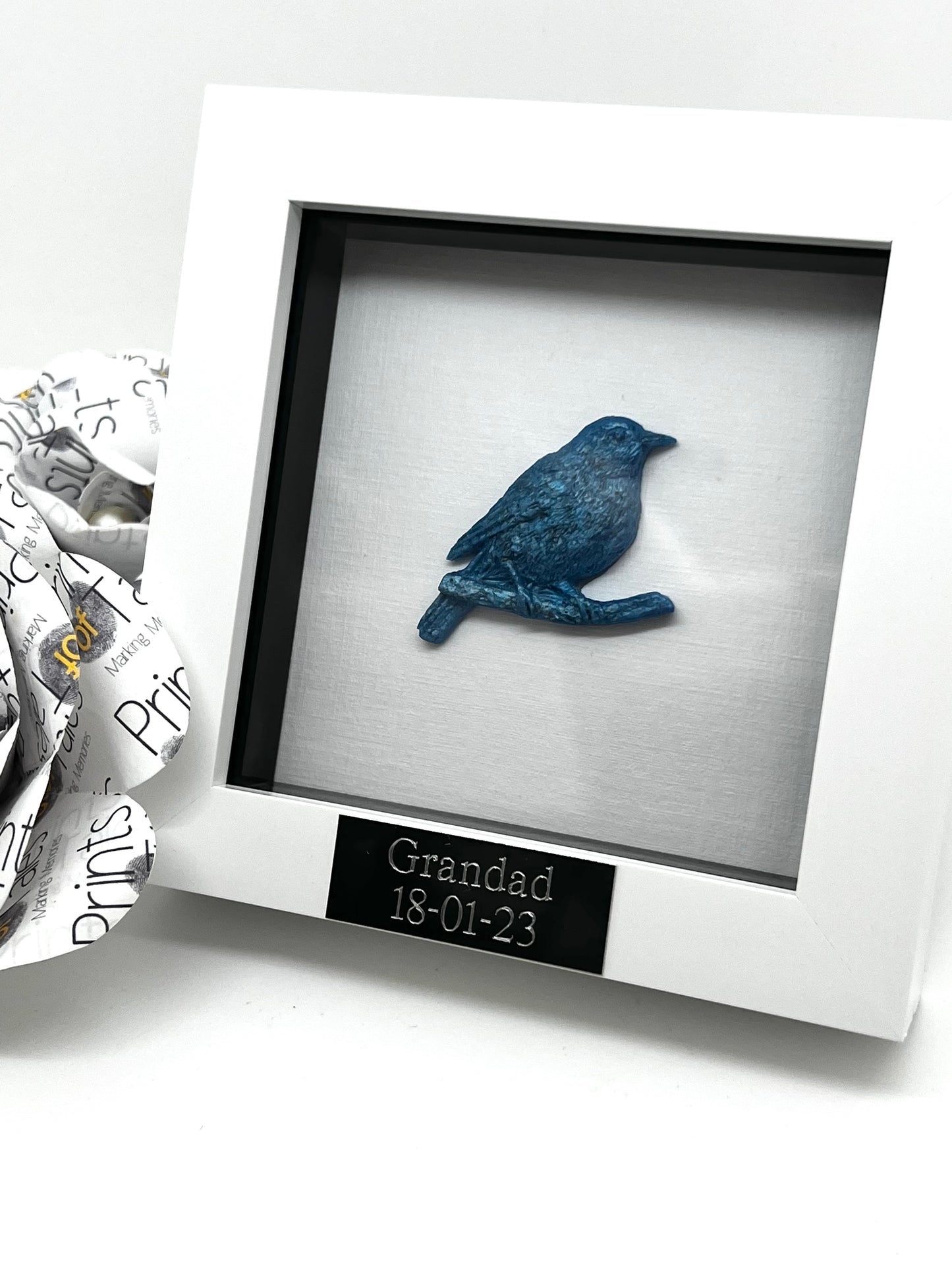 Bird Frame